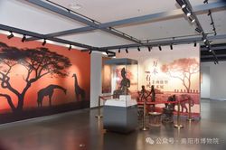 “万木有灵——非洲雕塑艺术展”在南阳市博物院对外开放